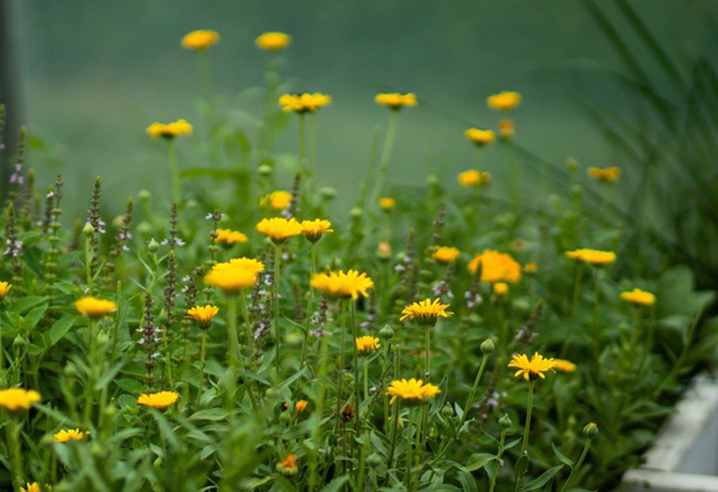 5 6 1 2 3 8 5 6 1 2 3 8